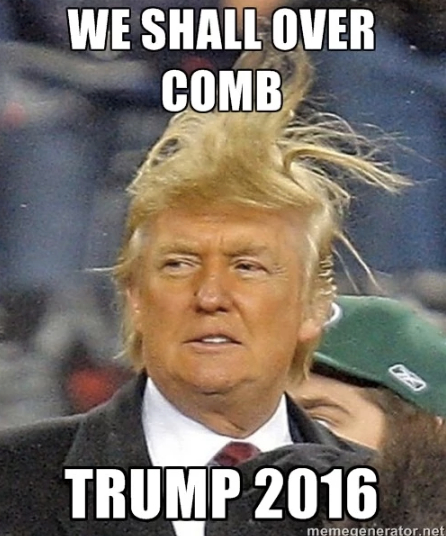 funny-donald-trump-president-memes-2016-hair